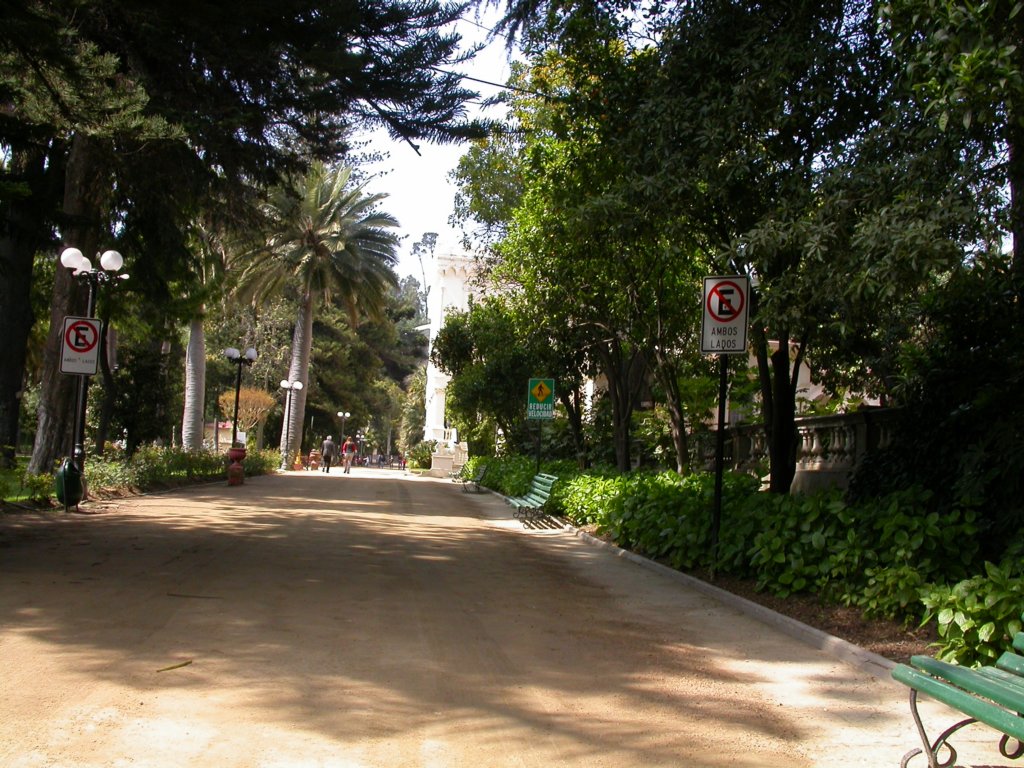 dscn3387.jpg