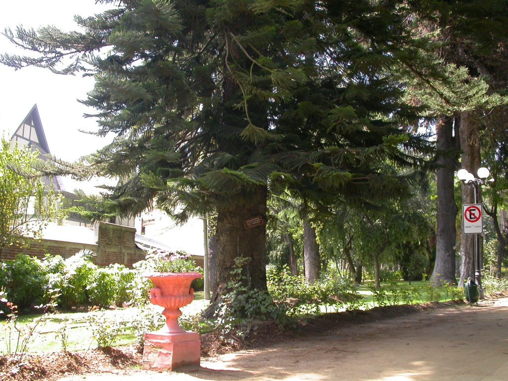 dscn3388.jpg
