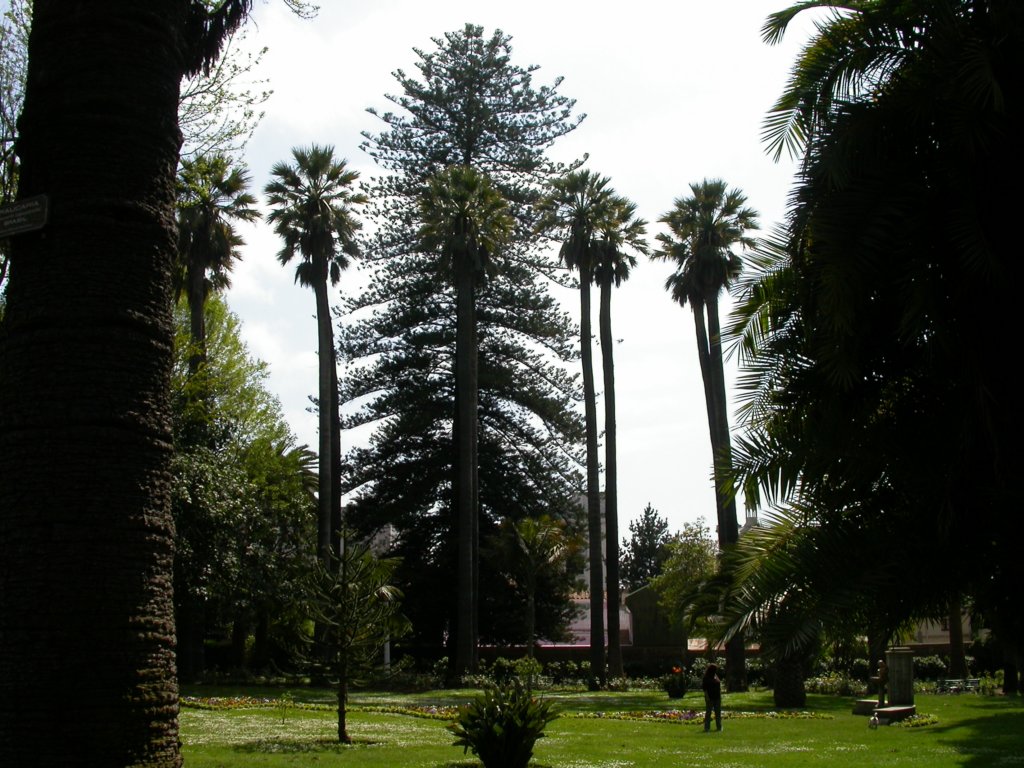 dscn3411.jpg