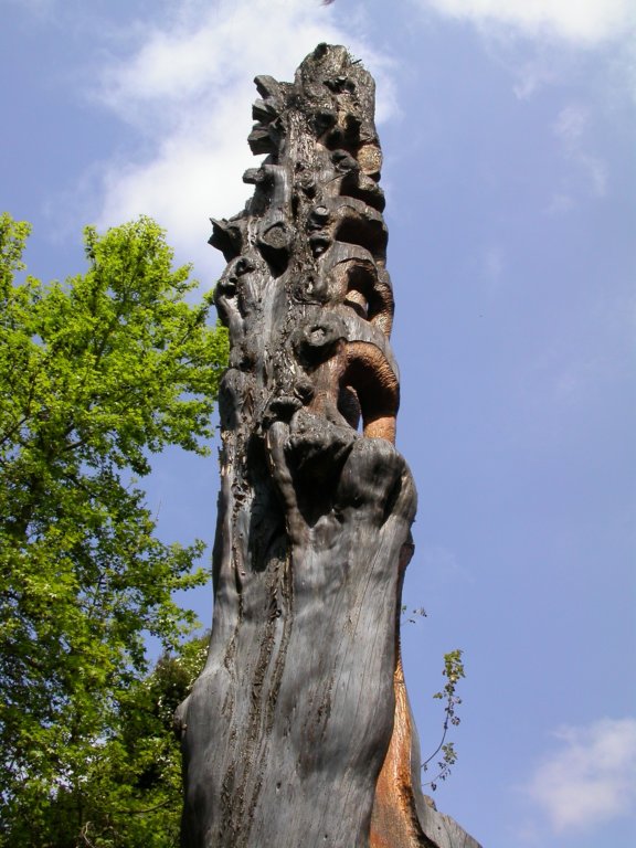 dscn3422.jpg
