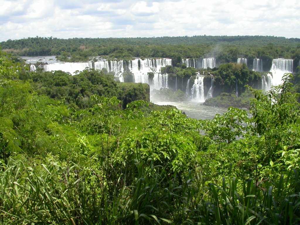 dscn0298.jpg