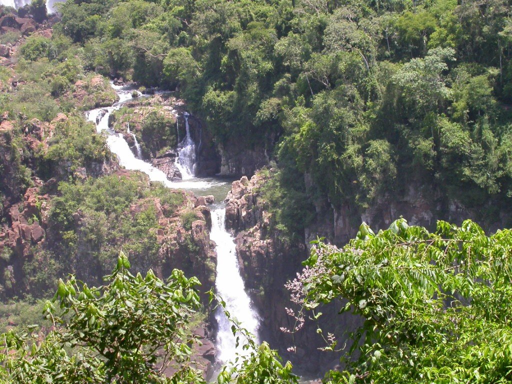 dscn0318.jpg