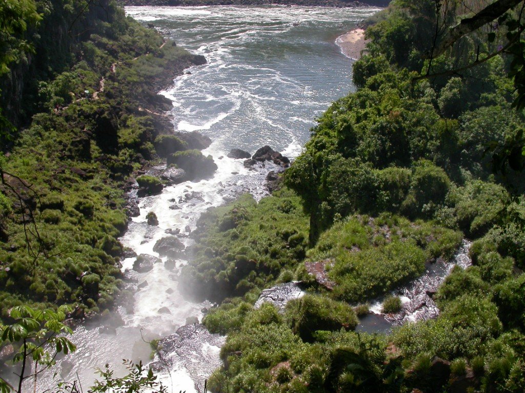 dscn0561.jpg