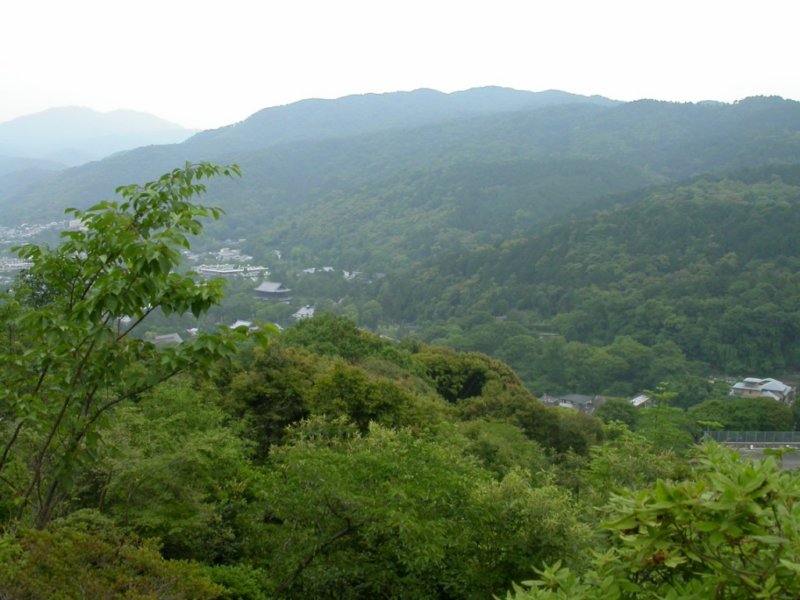 dscn0851.jpg