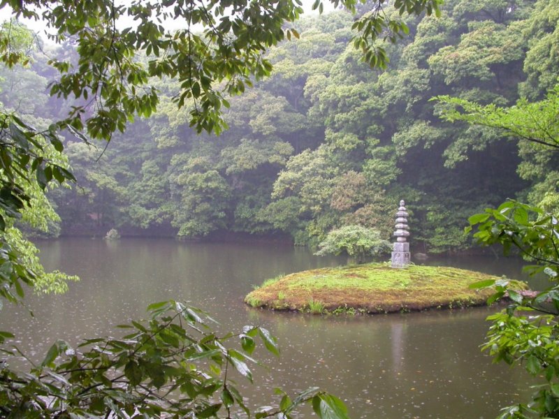 dscn0997.jpg
