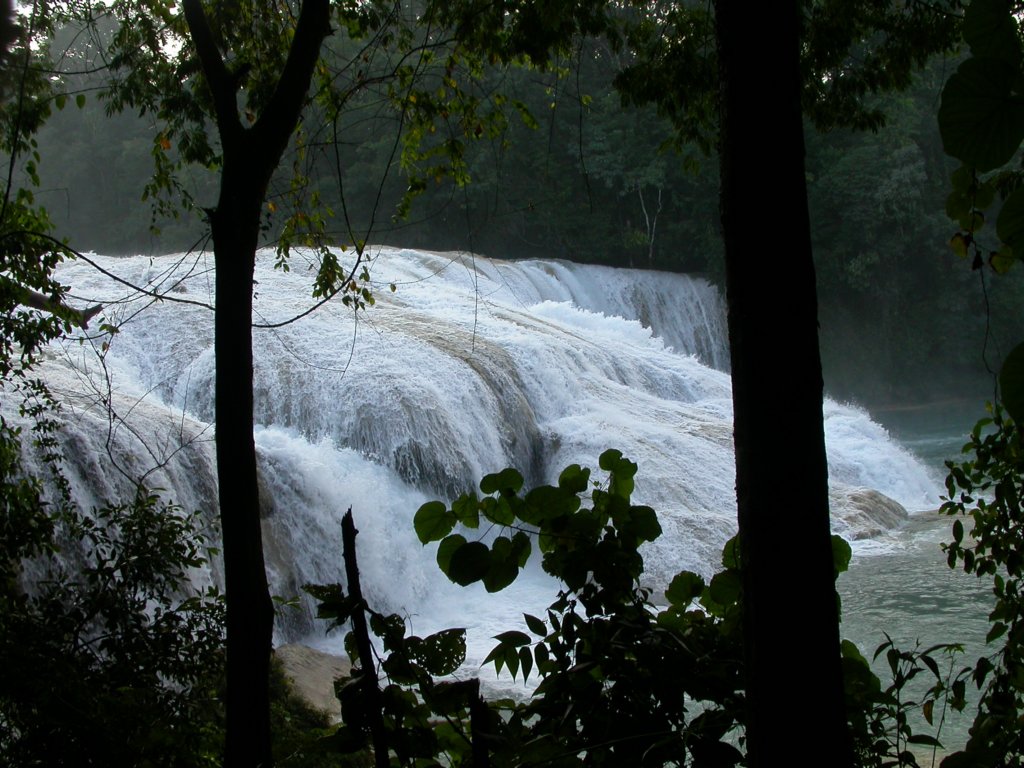 dscn4170.jpg