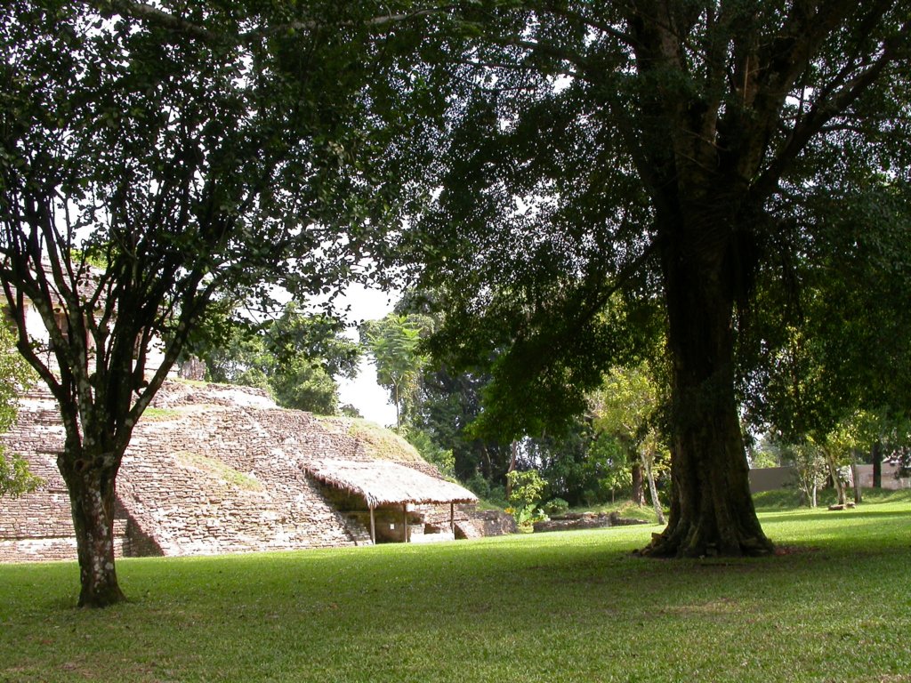 dscn4050.jpg
